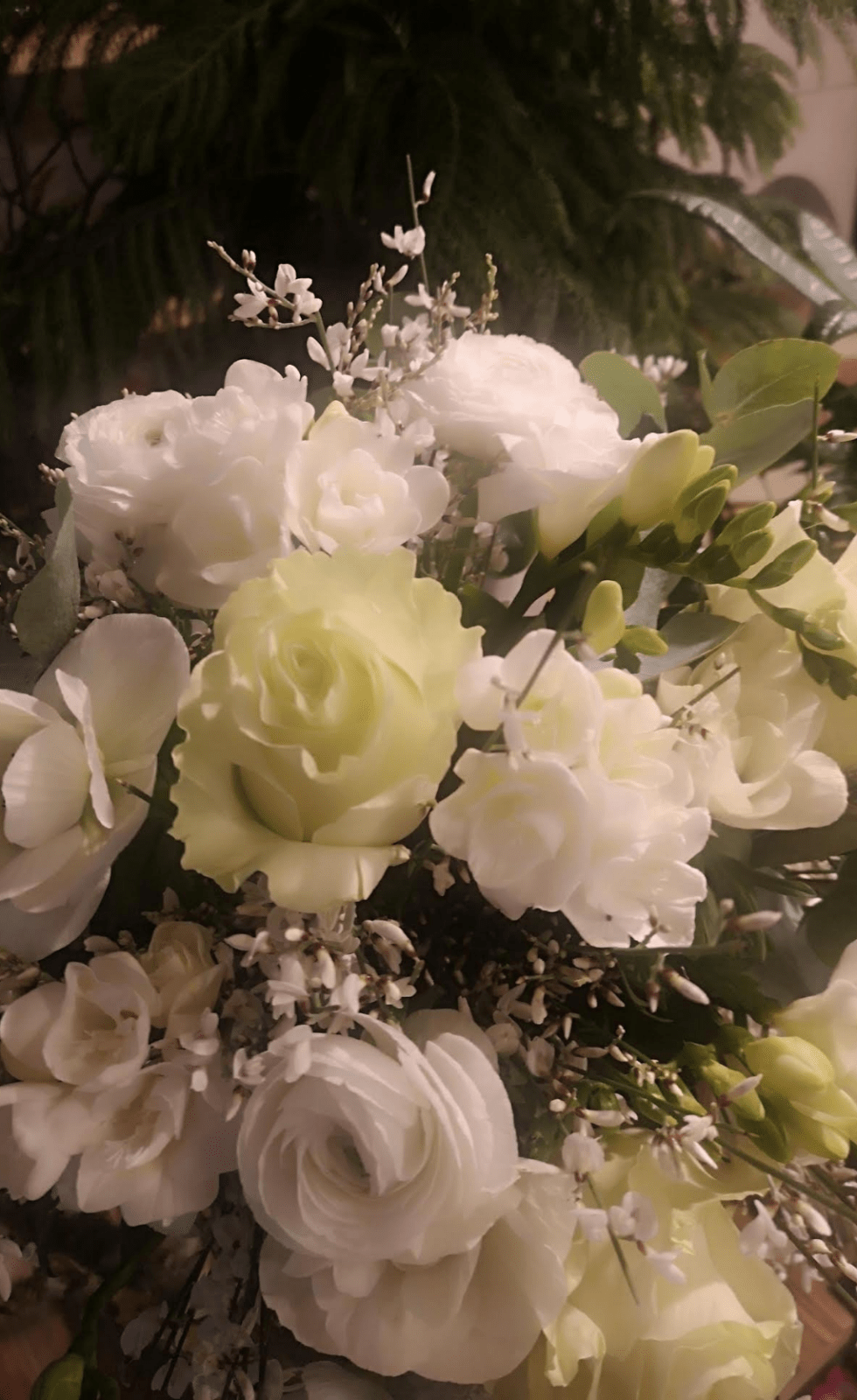 124AB217-43BD-4269-8311-5C12F048C986