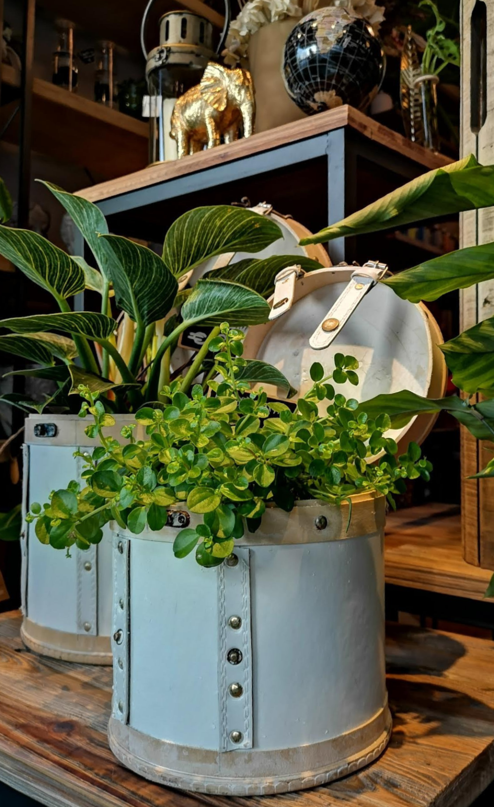 4652A7F2-B6FF-40BF-A900-9D0C4507ABF5