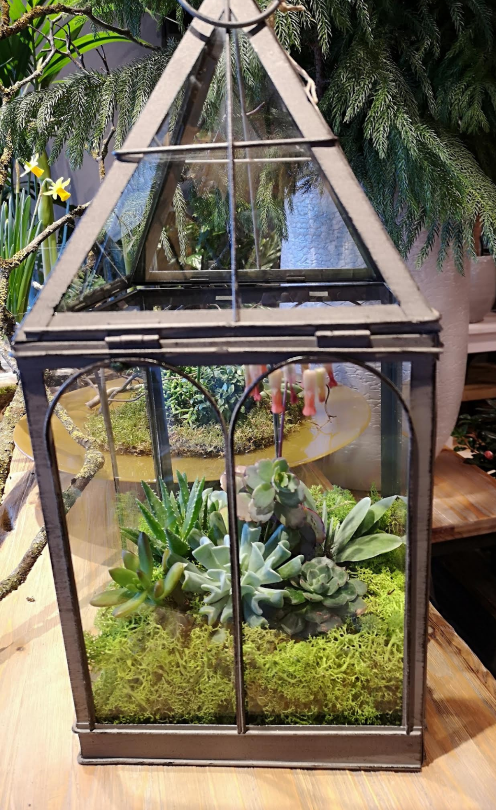 6BB7CFCD-A127-4C2D-A324-F16446FC11B1