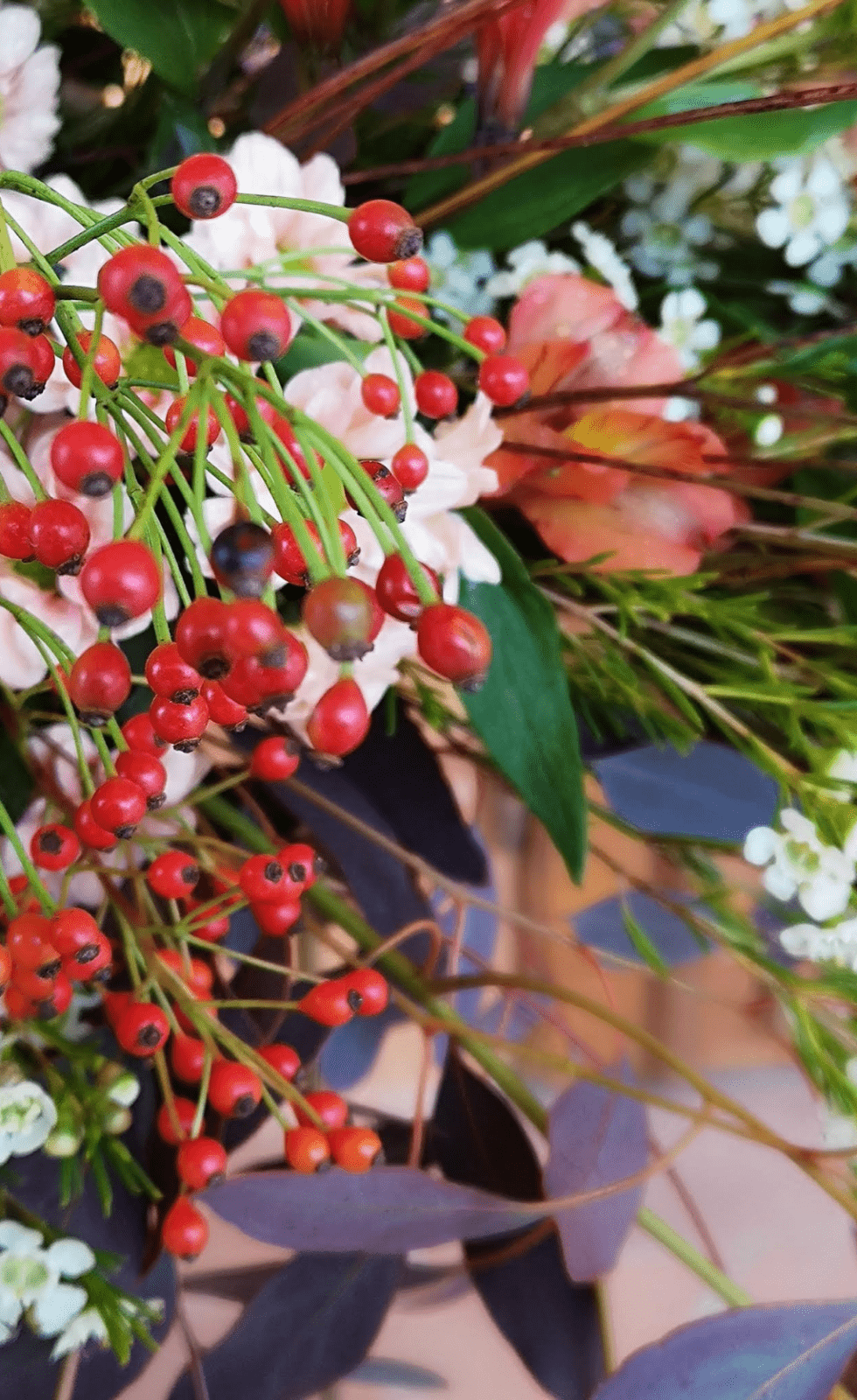 78A9935C-CB27-415E-9F55-55987DB8E2E3